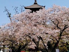 法華経寺