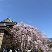 花見旅行記②　上田・小諸