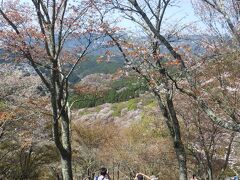 吉野の桜