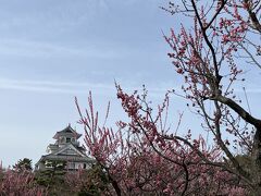 青春18きっぷの旅～日帰り長浜～桜にはまだ早かった