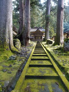 今シーズン最後のスキーは、福井の勝山です。　⑦ゆく年くる年で有名な永平寺へ。