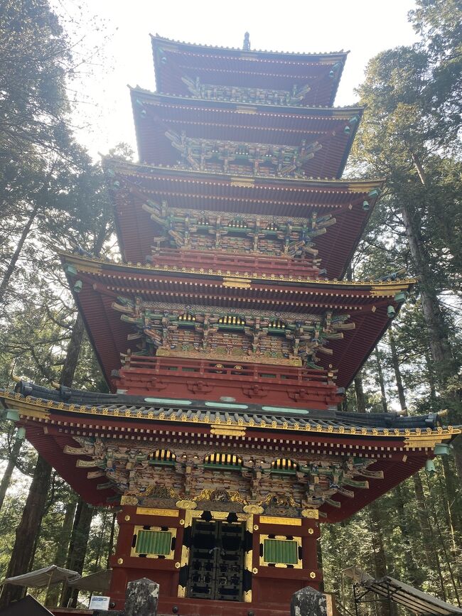 日光山内を自由散策するバスツアーです。<br />益子温泉に宿泊します。