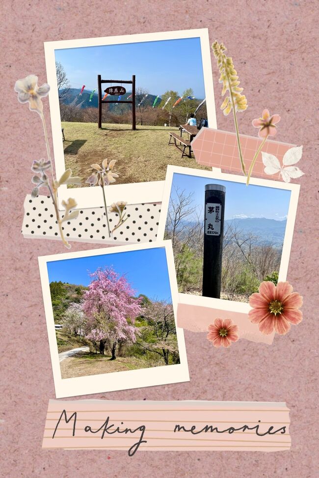 夏山登山に向けてのトレーニング<br />今回は桜と富士山の絶景と言う魅力的なツアーに参加しました。