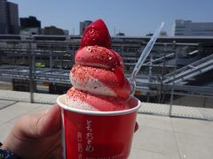 実質滞在24時間で宇都宮餃子食べ歩き(備忘録)後編～餃子と 苺と ときどき乗り鉄～