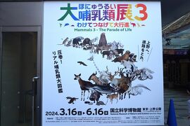 2024.4 大哺乳類展３－わけてつなげて大行進