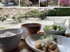 川西満願寺の桜とお寺ごはん　+ご近所の桜散策