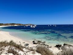 オーストラリア発券で初めてのパース４泊６日一人旅：ロットネス島&フリーマントル編