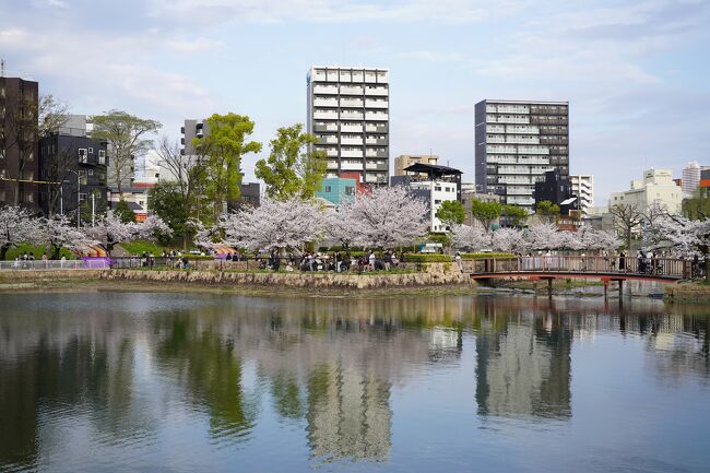 大阪の桜が満開を迎えたので、大川のさくら散歩に出かけてきました。<br /><br />コロナ禍前の日常がほぼ戻ってきたこともあって、日曜日のこの日は大勢の皆さんがお花見を楽しんでおられました。