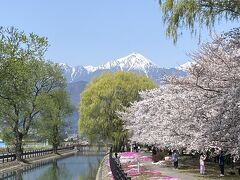 絶景独占！岩岳からの白馬三山、高遠の満開の桜　旅行記