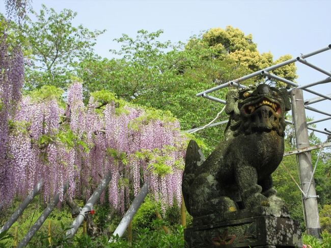 Deco家定番の春の近場のお花。<br />以前旅行記で取り上げたところばかりなので、今年はまとめて一つの旅行記にしました。<br /><br />(2024/9/5公開)