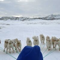 西グリーンランド・氷河とオーロラ旅　　2024.3.6～14  ５日目　犬ぞり体験＆夕陽　編