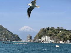 2024年3月　大人の遠足45　　日帰りバスツアー 静岡