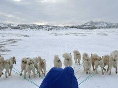 犬ぞり