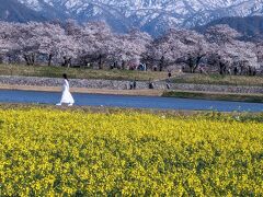 ４月の富山に行ってきました。