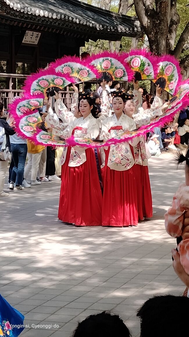 久しぶりの韓国です。<br />水原は、1988年ソウルオリンピックの前年に仕事で1カ月滞在しました。<br />ソウルは、2007年に韓国→慶州→釜山へ鉄道とバス旅しました。<br />それ以来の韓国は街や地下鉄も整備されていて、ホテル代や食事代は日本と同じ程度になっていて、韓国の発展を実感しました。<br />→37年前は日本の1/5の物価と言われ、毎日1,000円程度で焼肉三昧でしたが、今回は500円程度でキンパとチジミ三昧でした（笑）<br /><br />主な行程は、以下の通りです。<br />4月11日（木）：セントレア空港→仁川国際空港移動、ソウル市内拍<br />4月12日（金）：昌徳宮→北村韓屋村→景福宮→水原移動、水原市内泊<br />4月13日（土）：水原華城→韓国民俗村→ソウル市内移動、ソウル市内拍<br />4月14日（日）：仁川→国立中央博物館→南大門市場、ソウル市内泊<br />4月15日（月）：東大門→東大門（市場）→仁川国際空港→セントレア空港<br />1,000ウォン=110円です。<br /><br />本編は、37年振りの水原編（4月12日-13日）です。