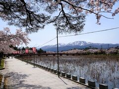 上越のひとり旅(1)～新幹線で桜咲く高田城址公園へ、そして温泉宿に連泊