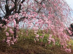 群馬県沼田市