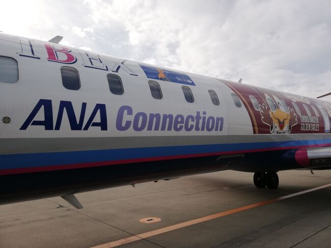 仙台出張に行きました。<br />出張先が仙台空港だったので市内には行きませんでした。<br />仙台空港は一度だけ来た事がありました。<br />セントレアの近くに住んでいますが、<br />仙台空港はセントレアに似ているなと前から思っていました。<br />更に今回泊まったルートインホテルがあり、<br />大きなイオンモールがあり家の近くに似ているなという印象でした。
