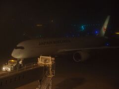 北海道に行ってきた6　「霧の新千歳空港」