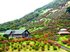 つつじの咲く丘は、まだ２～３分咲き(-_-;)　　『高峠・つつじケ丘公園』