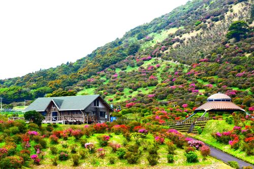 美麗! 峠の岪 へつり 福島県 高精細 プリント 写真 美麗! 峠の岪 へつり 福島県 高精細 プリント 写真 美麗! 峠の岪
