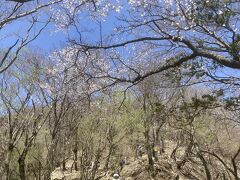 登山・ハイキング