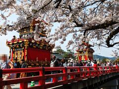 お天気に恵まれた 桜満開の 春の高山祭♪　暑かったぁ～