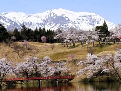 上越のひとり旅(2)～妙高山と桜の絶景を観に松ヶ峯へ、そして直江津散歩