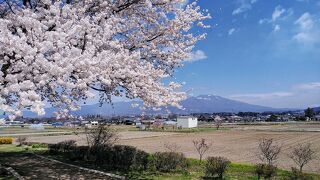 2024年4月14日～4泊5日　長野県の満開の桜、小諸～佐久編　アクアホテルプレミアム3泊(後半編)