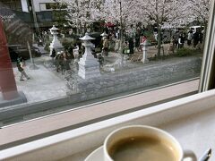 桜満開　春爛漫の鎌倉へ　