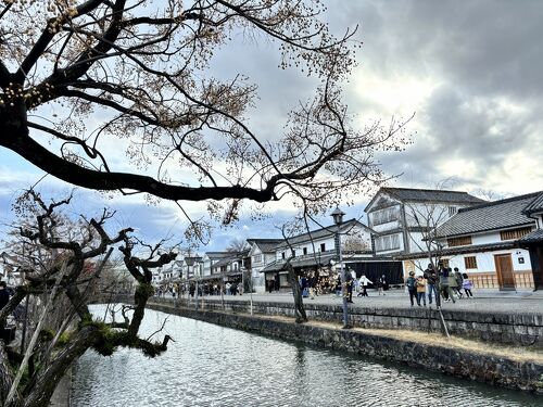 私は昭和以来、夫は初の倉敷・岡山旅行①～倉敷美観地区～』倉敷