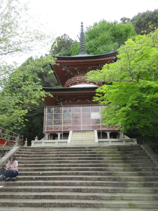 　京都市内で十三詣りで有名な法輪寺へ行ってきた。法輪寺は、嵐山の中腹にある。清少納言の「枕草子」に、京都の代表的な寺院として挙げられているとか。嵐山に架かっている有名な渡月橋は江戸時代まで法輪寺橋と呼ばれていたそうです。この法輪寺の舞台と呼ばれる見晴台からは渡月橋を渡っている観光客、京都タワー、嵐山周辺の大きな寺院を見ることができます。