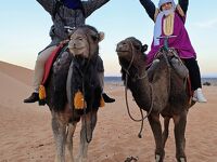 JTB 異世界への誘いモロッコ9日間（9）月明かりのメルズーガ大砂丘でラクダの背に乗り「月の砂漠」を謡いながら夜明けを待つ。