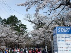 あおもり桜マラソンと青森&道南の旅