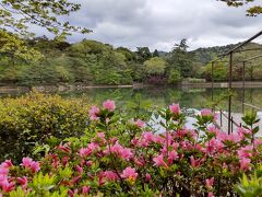 新緑を求めて布引の滝＆再度公園