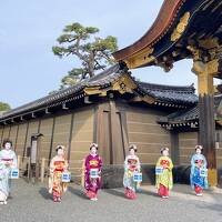 2泊3日　京都・神戸へお花見の旅　前編・京都 二条城早朝特別拝観『おはようさんどす。』