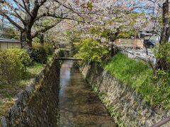 大阪グルメと甲子園と京都の桜