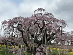 磐梯熱海温泉に行く。桜も咲くかな？