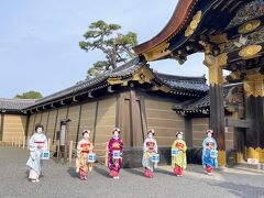 2泊3日　京都・神戸へお花見の旅　前編・京都 今年のお花見は 二条城早朝特別拝観でした