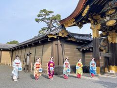 2泊3日　京都・神戸へお花見の旅　前編・京都 二条城早朝特別拝観『おはようさんどす。』