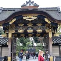 桜の香り漂う？古都京都で世界遺産を巡る③東寺、二条城、西本願寺界隈
