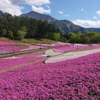 ☆ のんびり温泉とお花を求めて 春旅 ☆ 2024年4月 秩父編 No. 2