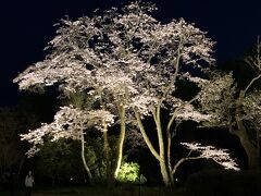 秩父宮記念公園