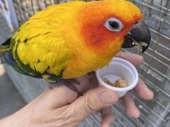 掛川花鳥園