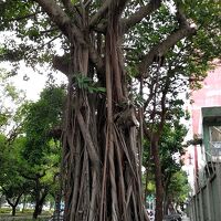 GW谷間の平日に特典航空券でササっと台北１泊２日【前編】　