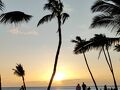 2023GW　アフターコロナのハワイ島＆ワイキキ旅行