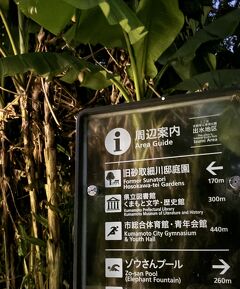 熊本の旅。上江津湖出水地区でホタル狩り。