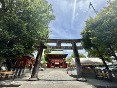 熊本の旅。藤崎八旛宮参拝。
