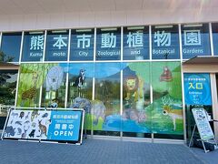 熊本の旅。熊本市動植物園へ。人気者は根小屋に入ってて見逃しちゃった。