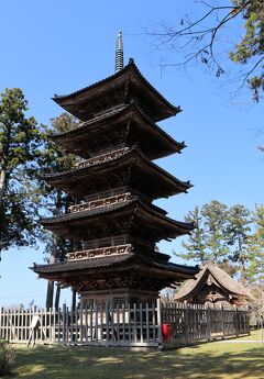 北陸応援割で佐渡の旅・・桜満開の真野公園（佐渡歴史伝承館）と妙宣寺五重塔を訪ねます。